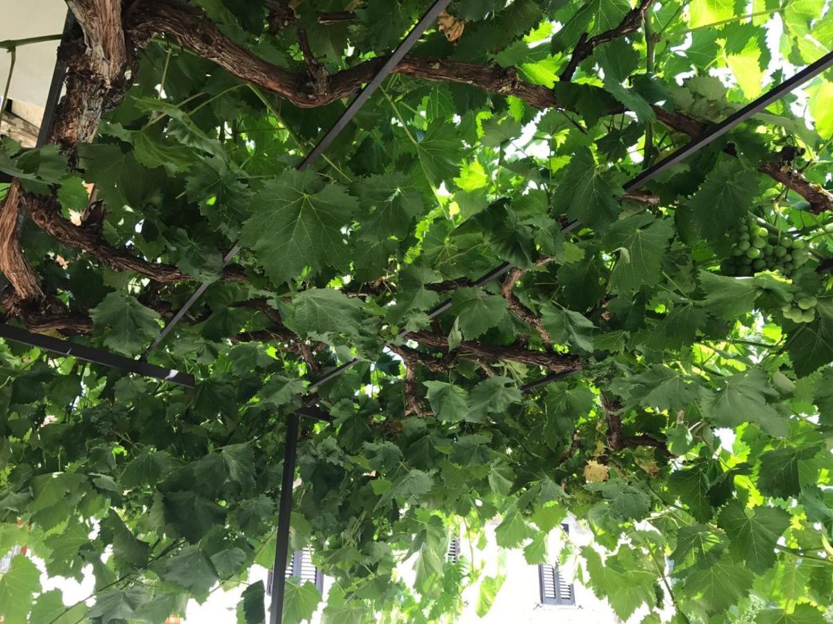 Il Sogno Nel Vento Acomodação com café da manhã Tufo Basso Exterior foto